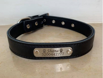 Collare personalizzato dream™